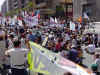 Dsc03568.jpg (70779 octets)