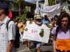 Dsc03691.jpg (66848 octets)